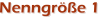 Nenngröße 1